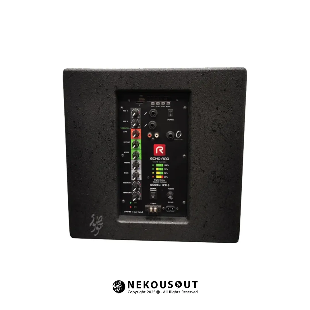 پنل کنترل اکو پرتابل R910 همراه ورودیهای متنوع