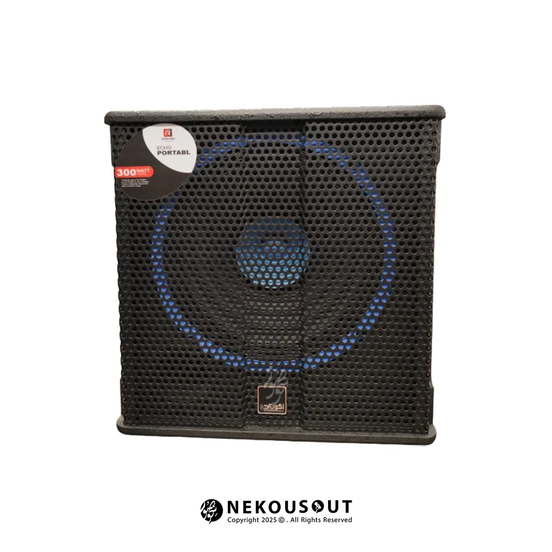 نمای جلو سیستم صوتی قابلحمل رعد مدل R910