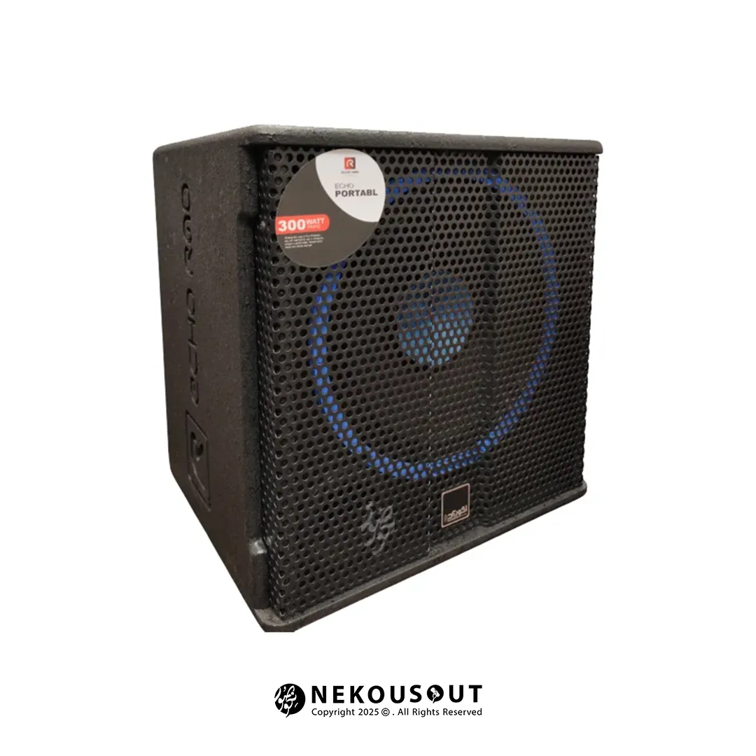 اکو پرتابل اکو رعد R910 با طراحی حرفه‌ای