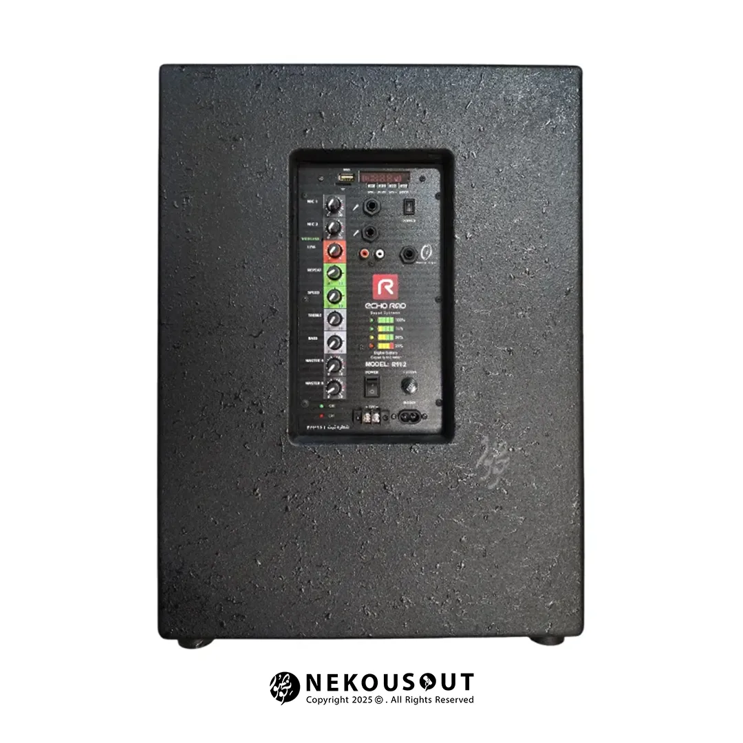 نمای پشتی سیستم صوتی قابلحمل R912