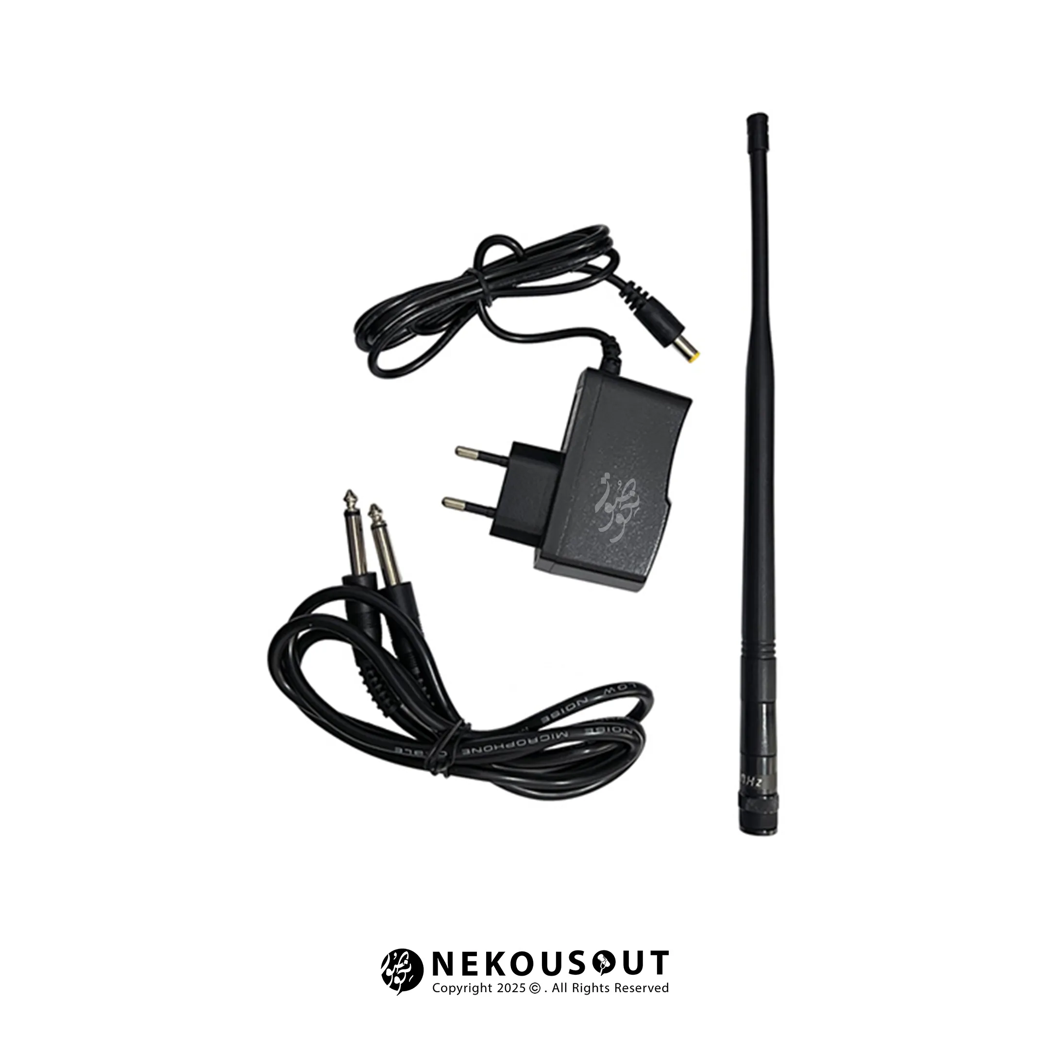 اقلام همراه میکروفون AAPPRO AP-M700H