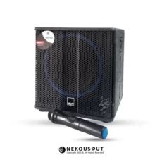 اکو پرتابل اکو رعد R910 به همراه میکروفون بی‌سیم