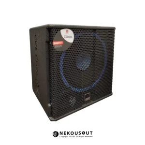 اکو پرتابل اکو رعد R910