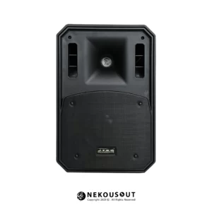 بلندگو دکوراتیو جی تی ار JTR JW200