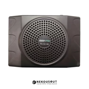 اکو همراه ای ای پی پرو AAP Pro PA-3G-100