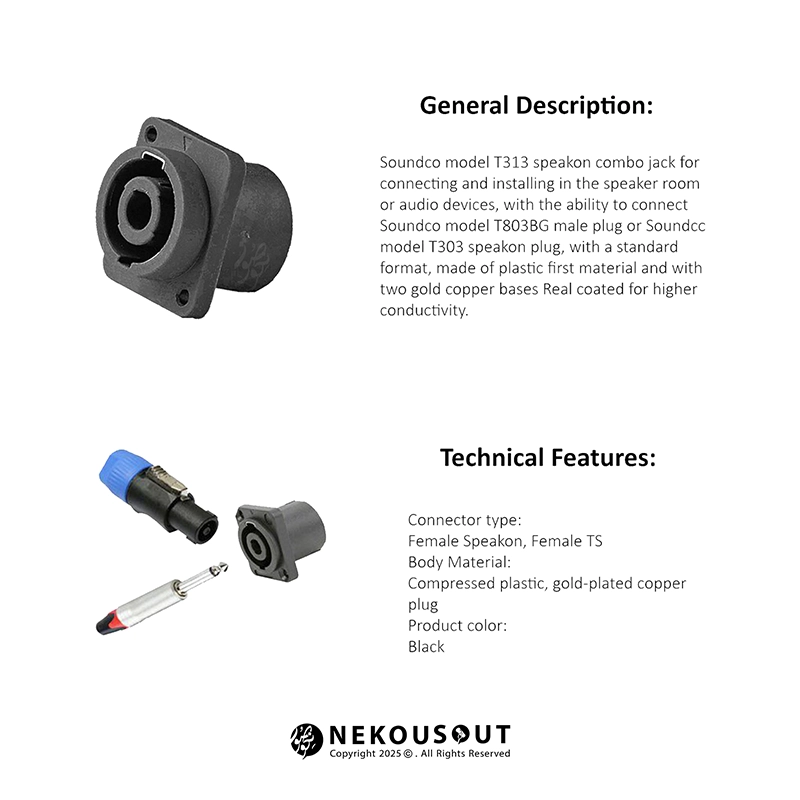 فیش نصبی کمبو ساندکو Soundco T313