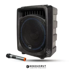 اکو پرتابل اکو رعد 912F + میکروفون بی‌سیم