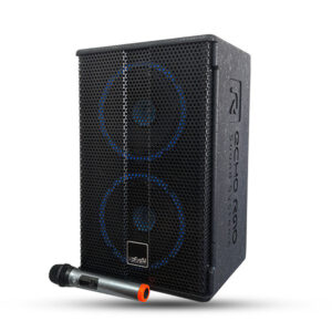 اکو پرتابل اکو رعد 928 + میکروفون بی‌سیم