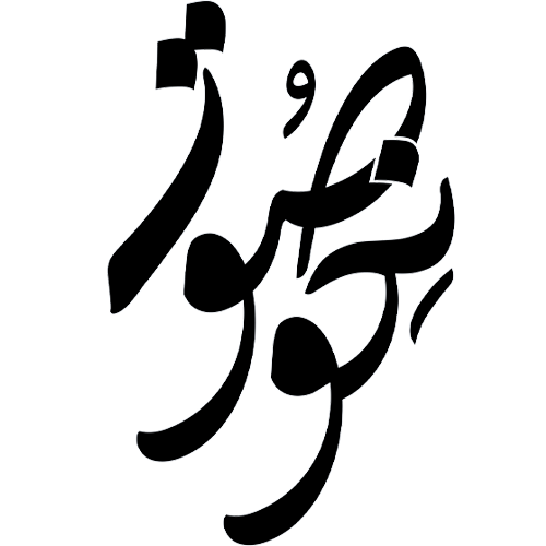 لوگو نکوصوت