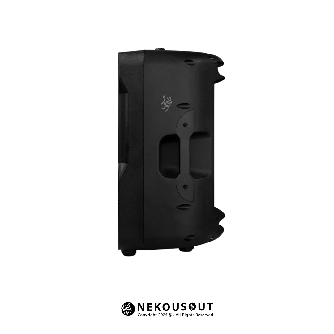 باند اکتیو سناتور مدل SENNATOR SN1213 2 SENNATOR SN1213 Active Speaker