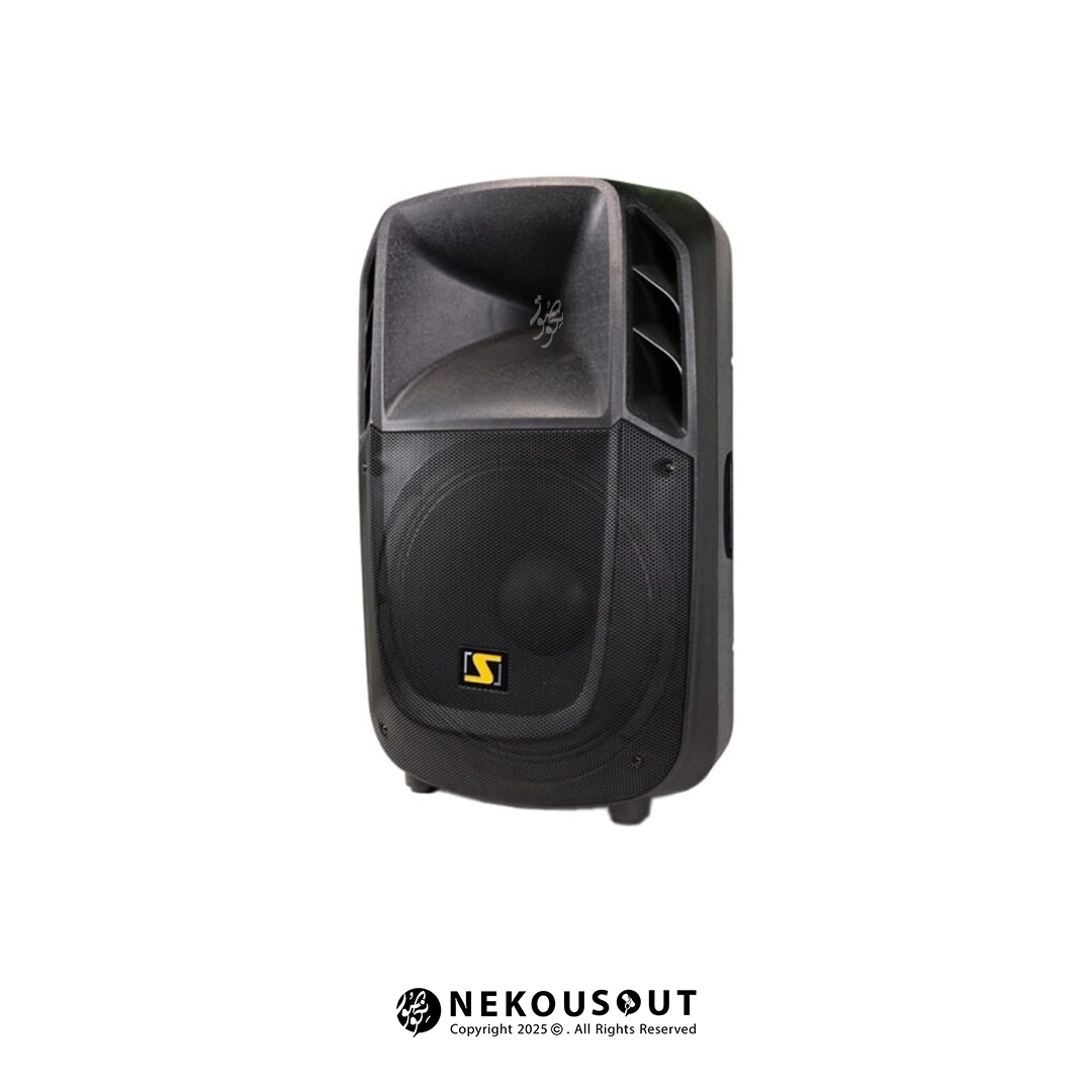 باند اکتیو سناتور مدل SENNATOR SN-P1516A6 2 سیناتور SN-P1516A6 با بلوتوث و USB