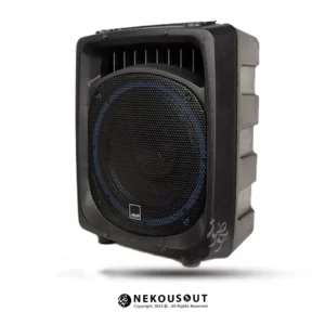 اکو پرتابل رعد 912F با بدنه فایبرگلاس و توان ۲۵۰ وات
