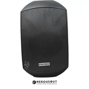 بلندگو دکوراتیو ام پرو MPRO DP-5110 مشکی مات با بدنه ABS و نصب دیواری