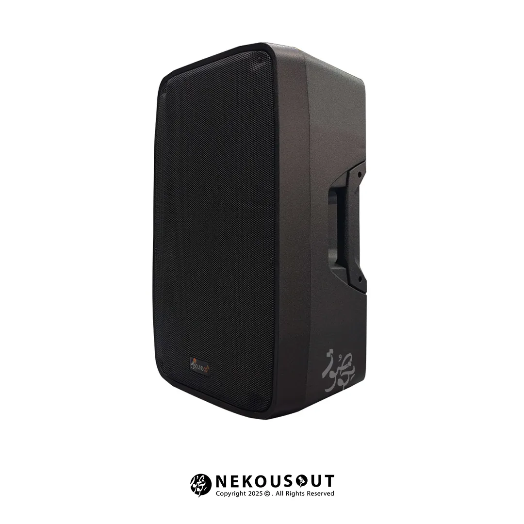 اسپیکر اکتیو ساندکو Soundco PD800A 3 نمای پشتی اسپیکر نمایش خروجی XLR و مشخصات فنی درج شده