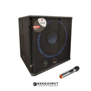 نمای کامل اکو پرتابل اکو رعد مدل R910 با بدنه مقاوم، دسته حمل، چرخ‌های روان و میکروفن بی‌سیم در کنار دستگاه